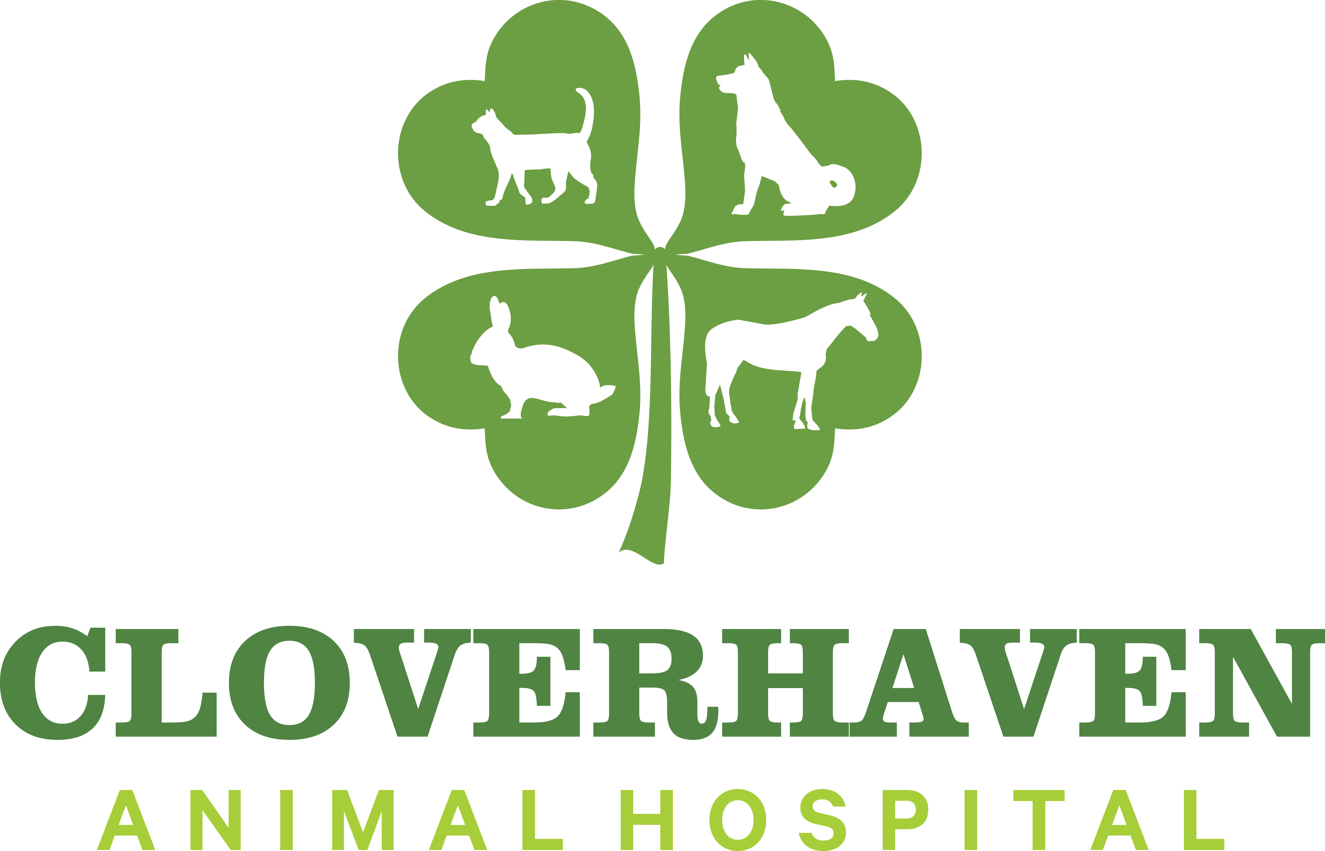 Cloverhaven Animal Hospital